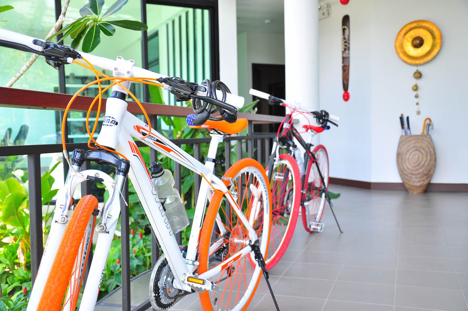 Free bicycle rental & Fitness